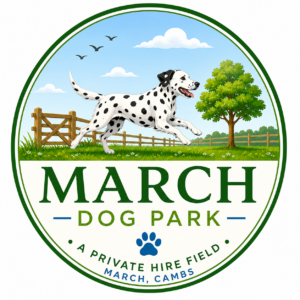 March Dog Park